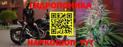 МДПВ Заводоуковск