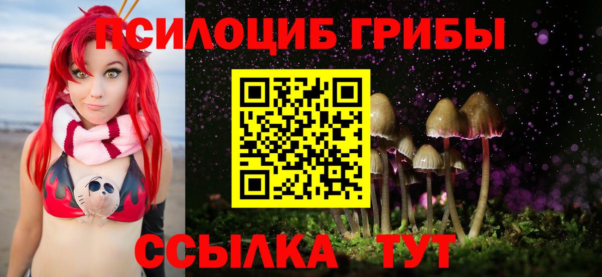 Галлюциногенные грибы Cubensis  Вход с VPN  Галлюциногенные грибы мухоморы  Коммунар 